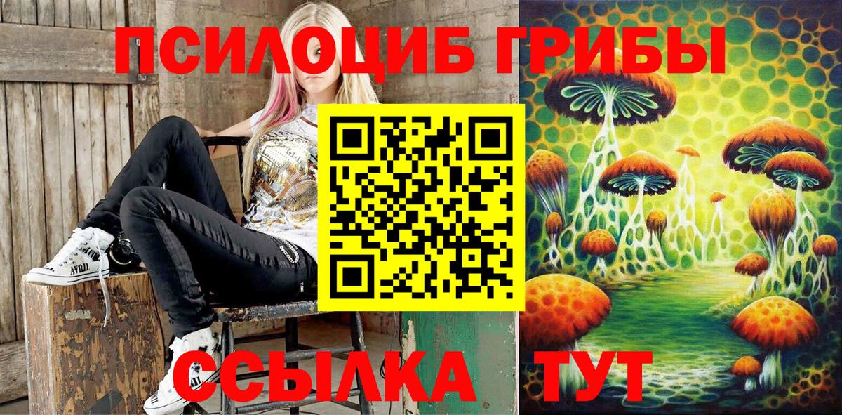 Галлюциногенные грибы Psilocybe Шумерля